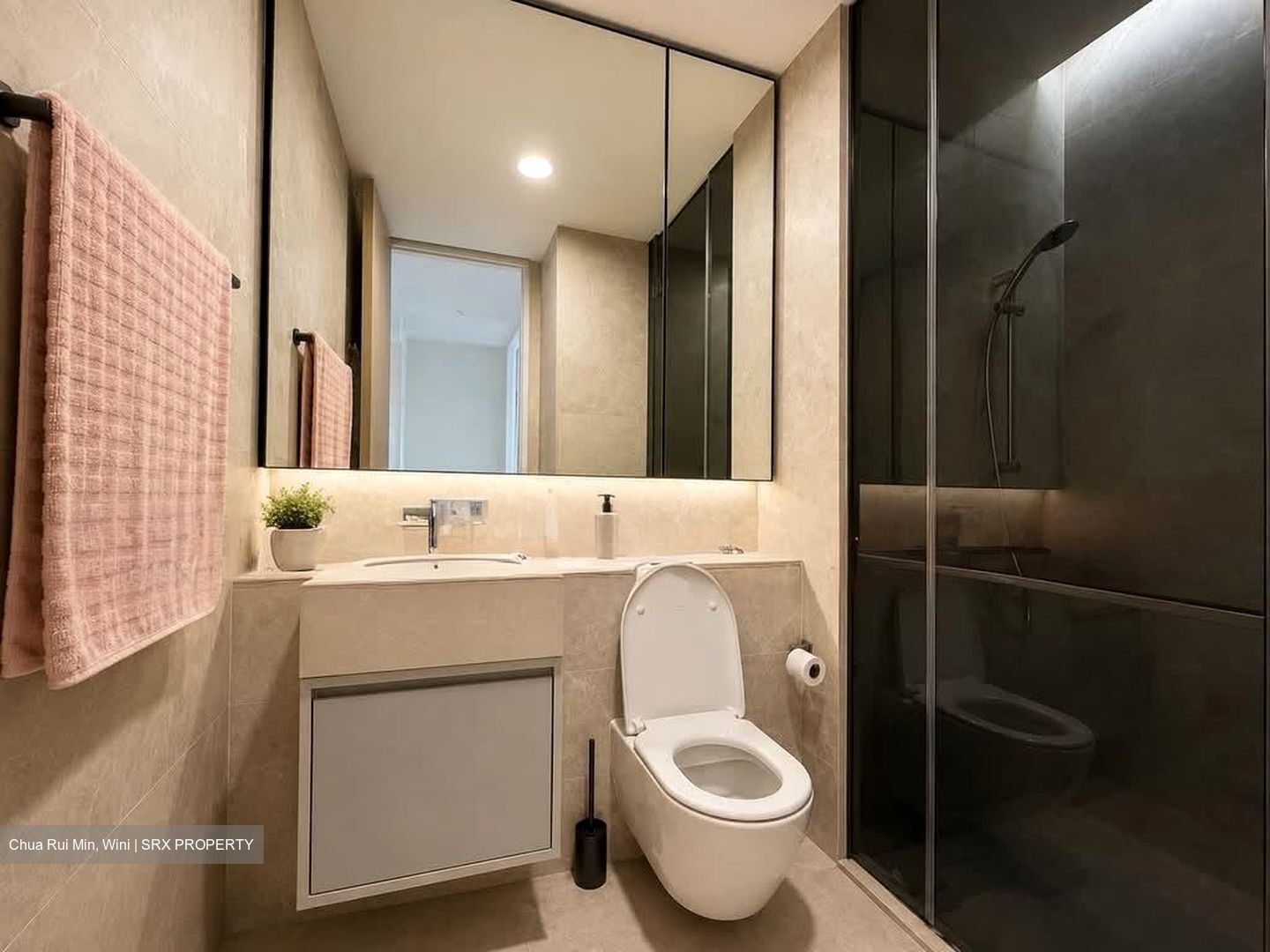 Amber Park (D15), Condominium #606901581
